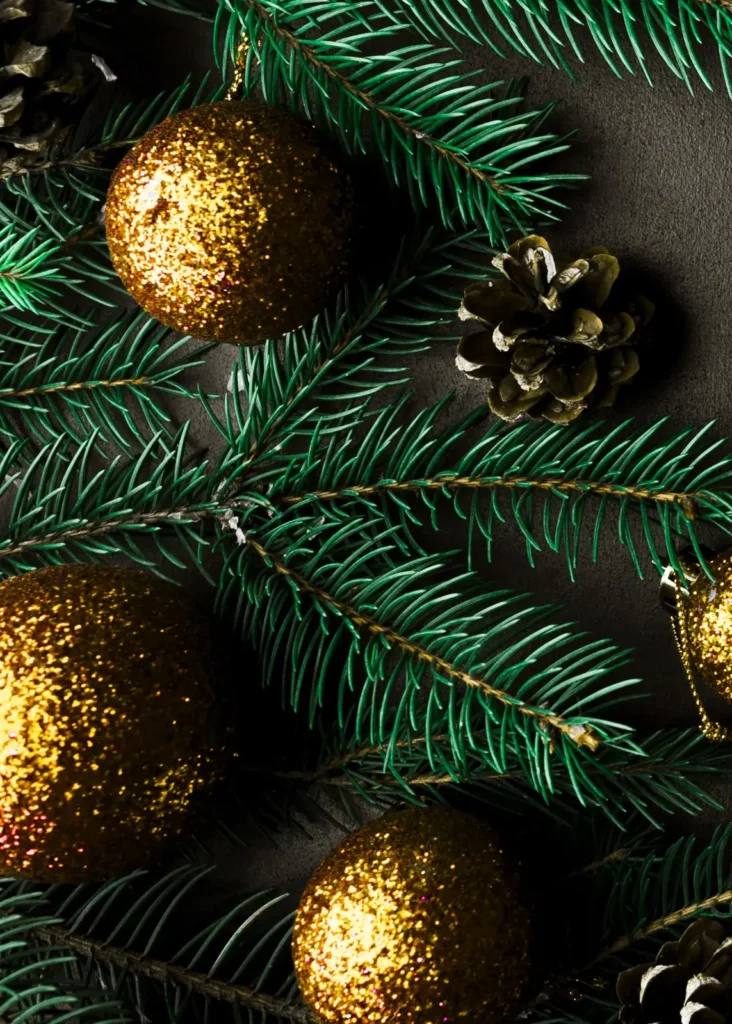 a pinecone and ornaments on a branch